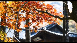 Natural and Soothing Part - 2