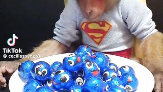 Funny ????❤️ subscribe me ????????