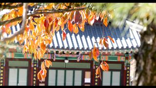 Natural and Soothing Part - 3