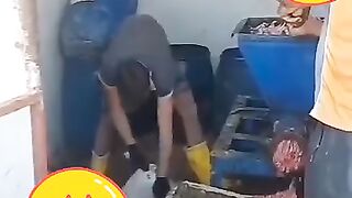 الكفتة رخيصة