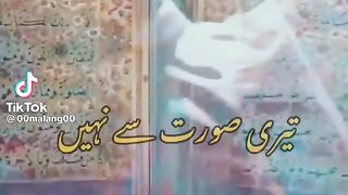 Guess the voice of Special Lady of Pakistan
