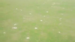 Green grass meadow