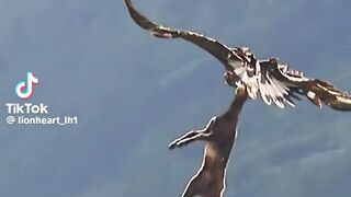 The golden eagle attack