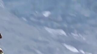 Continuation and end of eagle attack