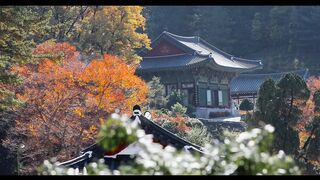 A Temple that's Hundreds of Years Old