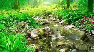 Belle nature