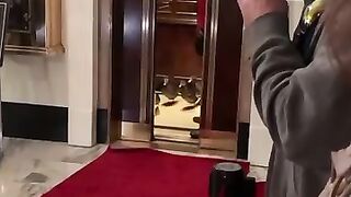 The Peabody hotel ducks in Memphis Tennessee daily walk from their rooftop residence to the hotels fountain.