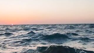 NATURE 150