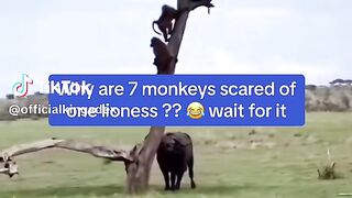 Wait for it ????????????????