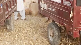 Kandiaro