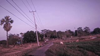 The Nature ❤️