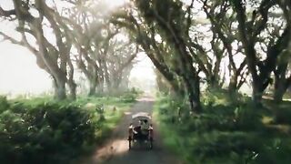 What a wonderful place