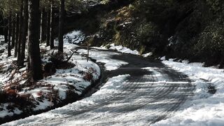 Winter