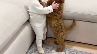 Adorable Puppy Meets the Baby for the Very First Time