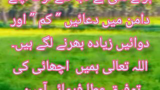 quotes