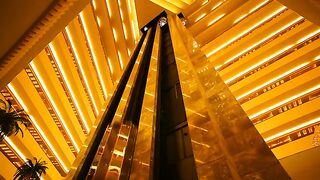 Precious Metals or Gold Can Be Used in Any Product Part - 1