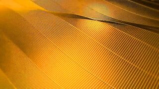 Precious Metals or Gold Can Be Used in Any Product Part - 4