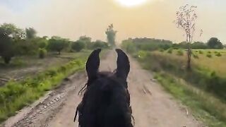 Horse riding ????️