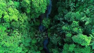 the amazing nature