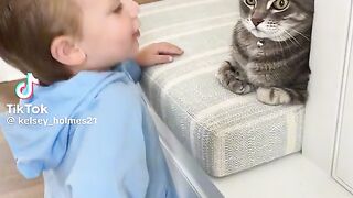 Baby vs cat subscribe me