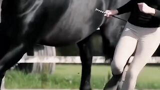 Girl lifestyle with horse ????????#febspot