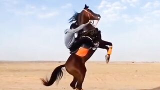Horse fun????????#febspot