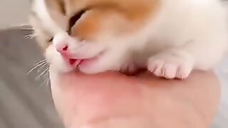 ياعومري