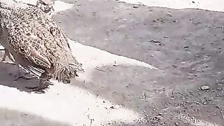 Bahut khoob ll khoob