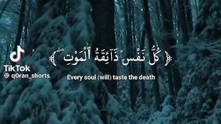 قرأن كريم