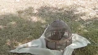 The chadar