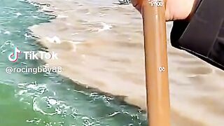 Two ocean waters with different colors.