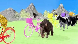 Paint animals