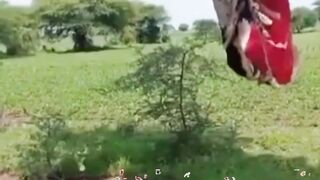 Viralshort video so sweet and very nice video