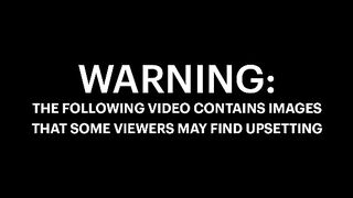 Shocking footage shows the moment engineer, 54, 'stabs boy, 17, to death and injures four others after the group branded him
