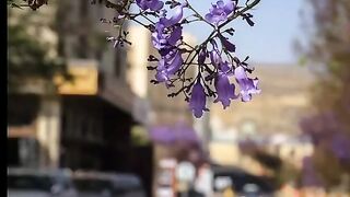 قران الكريم