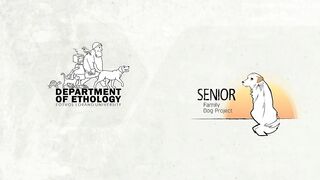Who's a clever boy? Dogs excel in different intelligence tasks - just like humans, study claims