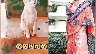 Funny video ???? 2024