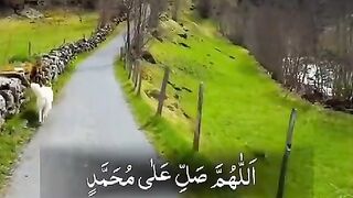 Best naat shareef