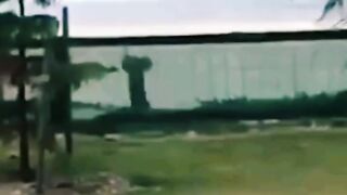 #funny #cat #dog #animals (27)