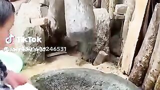 Best  video ever