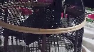 This is not red
