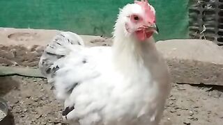 Where are you looking