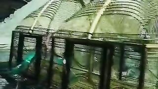 Two cages