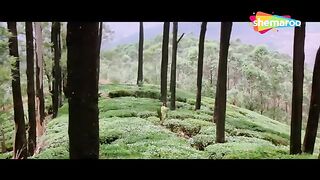 Dil deewan Dhoondh Raha hai_chsnd ka tukda(1994)
