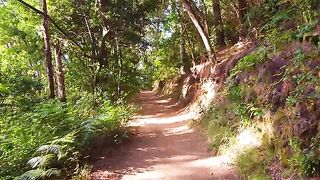 Lush Forest and Very Quiet to Be a Vacation Location