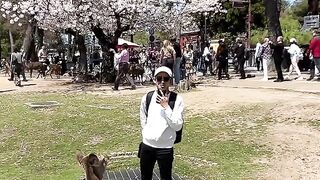 rusa jepang