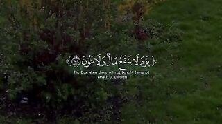 سکون قلب