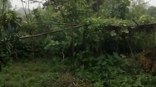 ঝড়