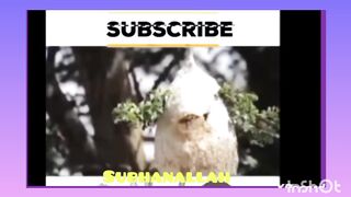 #shorts, BEAUTIFUL SCENE,