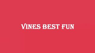 Funny Videos 2023 ● People doing stupid things P1